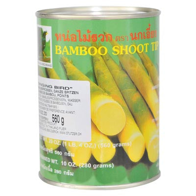 Bamboo Shoot Whole (Ruak Tip) - 560 g