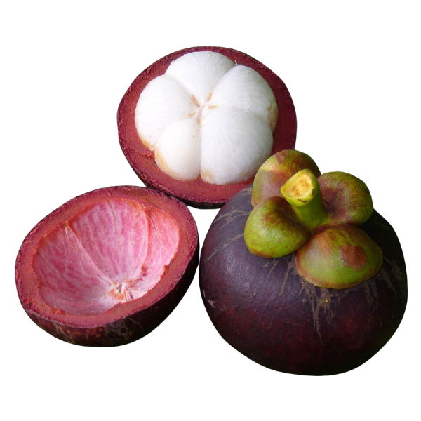 Mangostan - ca. 500 g