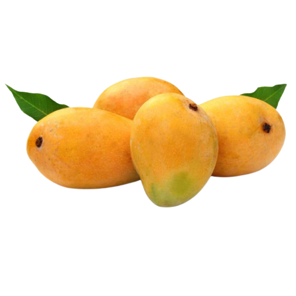 Kesar Mango - approx 1.3 kg