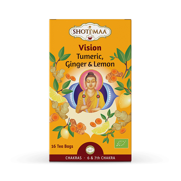 Vision - Turmeric, Ginger & Lemon - 16 teabags